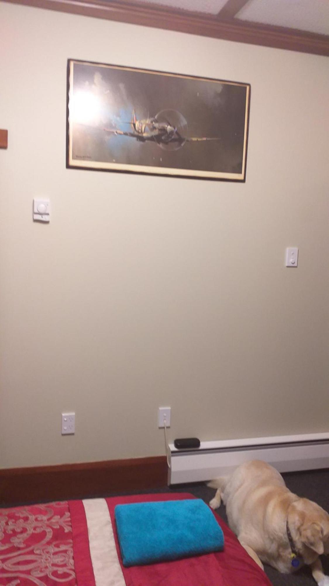 Ruan Thai Bed And Coffee Appartement Hamilton Kamer foto
